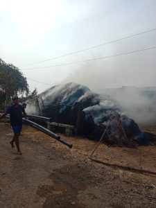 जिवंत विद्युत तारा तुटल्याने लागली गोट्याला आग