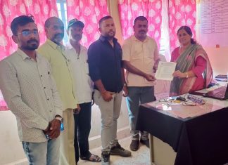 भूमी अभिलेख चे कर्मचारी संपावर