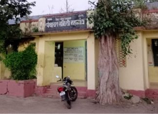 वाकोडी येथील ग्रा.प. कामात बनावट स्वाक्षऱ्या प्रकरण चव्हाट्यावर