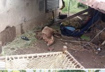 तालुक्यांत आवकाळी वादळाचा कहर ; काही ठिकाणी गारपीट