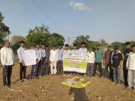 आनंद निकेतन कृषी महाविदयालयाचे रावे अंतर्गत उपक्रम