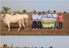महालगाव येथे कापूस पेरणी व विविध पेरणी पद्धतींचे प्रात्यक्षिक संपन्न