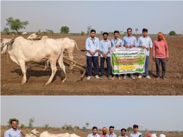 महालगाव येथे कापूस पेरणी व विविध पेरणी पद्धतींचे प्रात्यक्षिक संपन्न