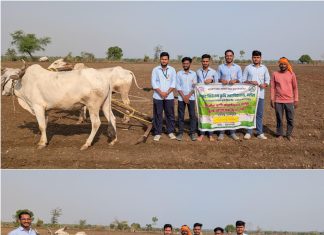 महालगाव येथे कापूस पेरणी व विविध पेरणी पद्धतींचे प्रात्यक्षिक संपन्न